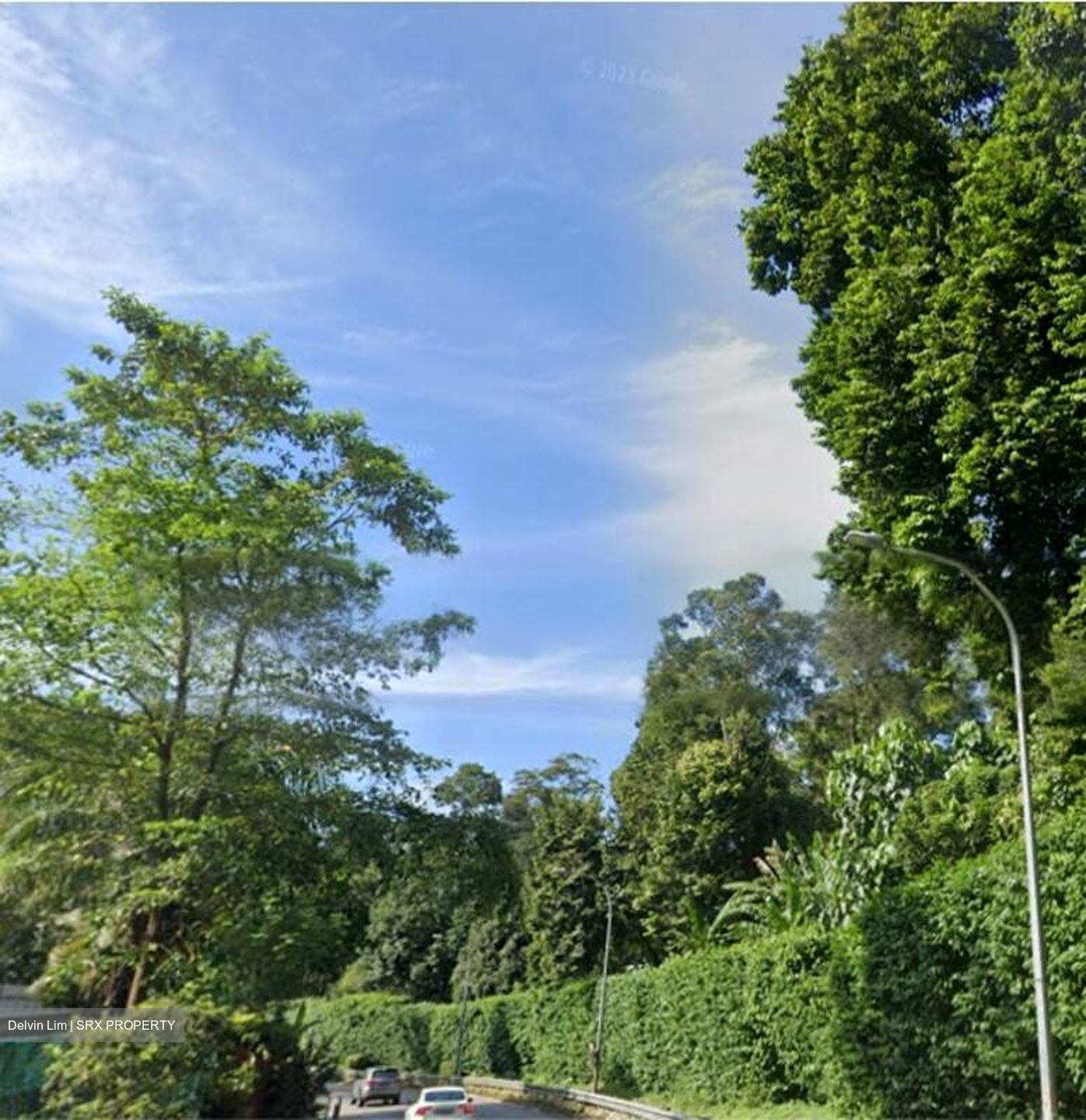 Nassim Road (D10), Detached #464671931